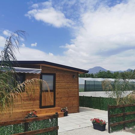 ボスコレアーレVesuvius Chalet Relaxアパートメント エクステリア 写真